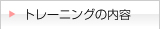 g[jO̓e